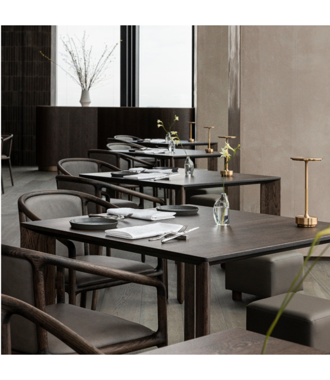 NF–DC01 DINING CHAIR