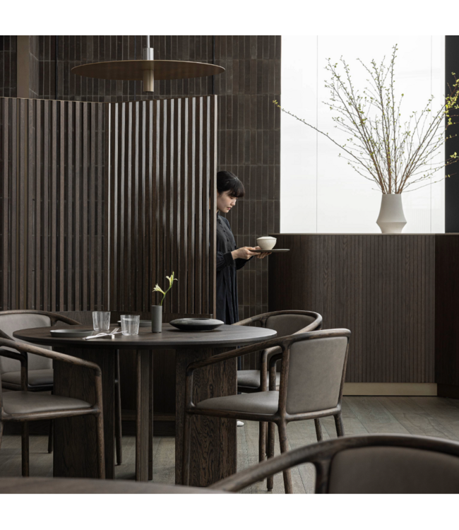 NF–DC01 DINING CHAIR