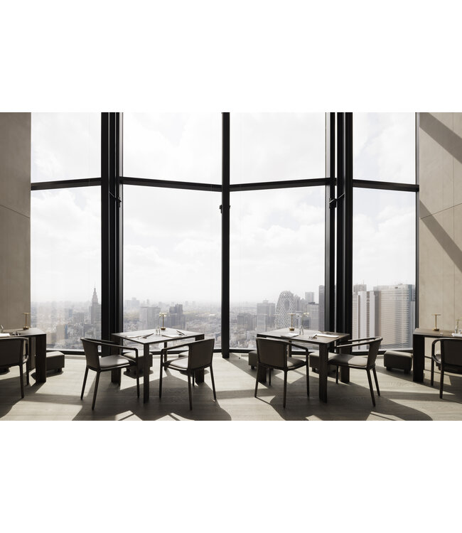NF–DC01 DINING CHAIR