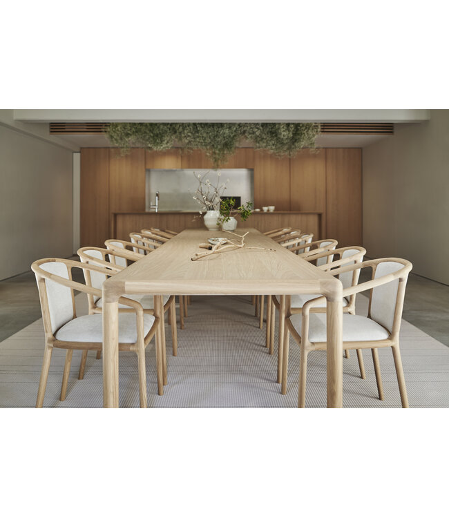 NF–DT01 DINING TABLE