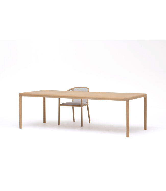 NF–DT01 DINING TABLE