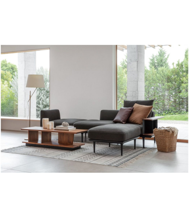 AYANO RECTANGULAR COFFEE TABLE