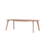 NAGANO INTERIOR ARISA SHAPED DINING TABLE