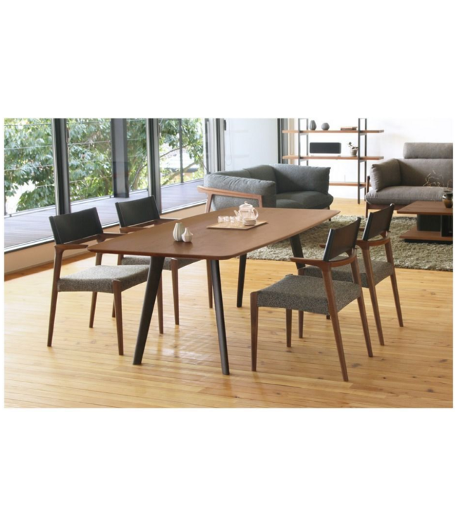 ARISA SHAPED DINING TABLE