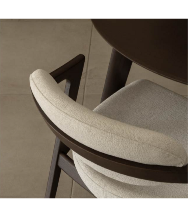 HUG DINING CHAIR