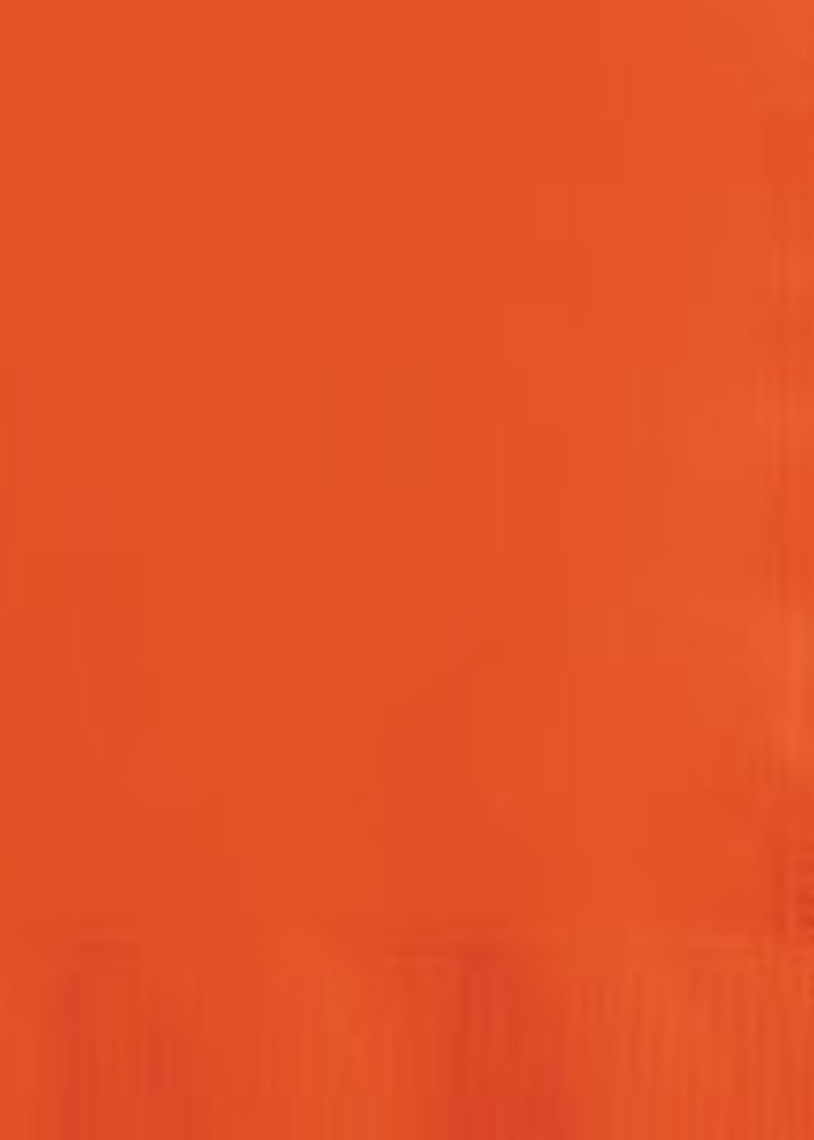 BitterSweet Orange Peach BEVERAGE NAPKIN