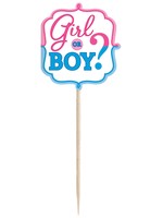 Girl or Boy? Party Picks - 36 count.