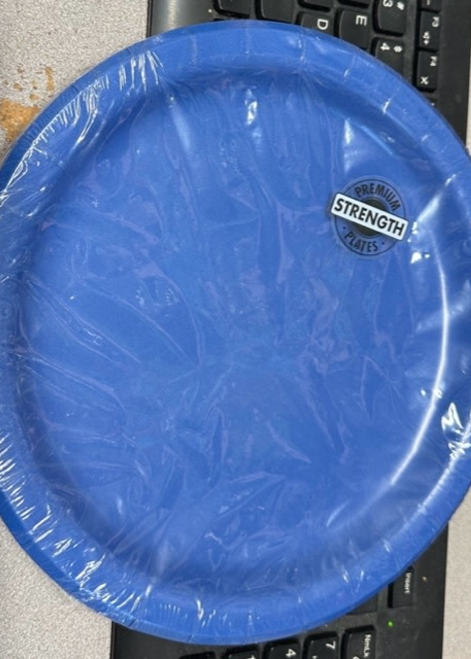 True Blue Luncheon Plate