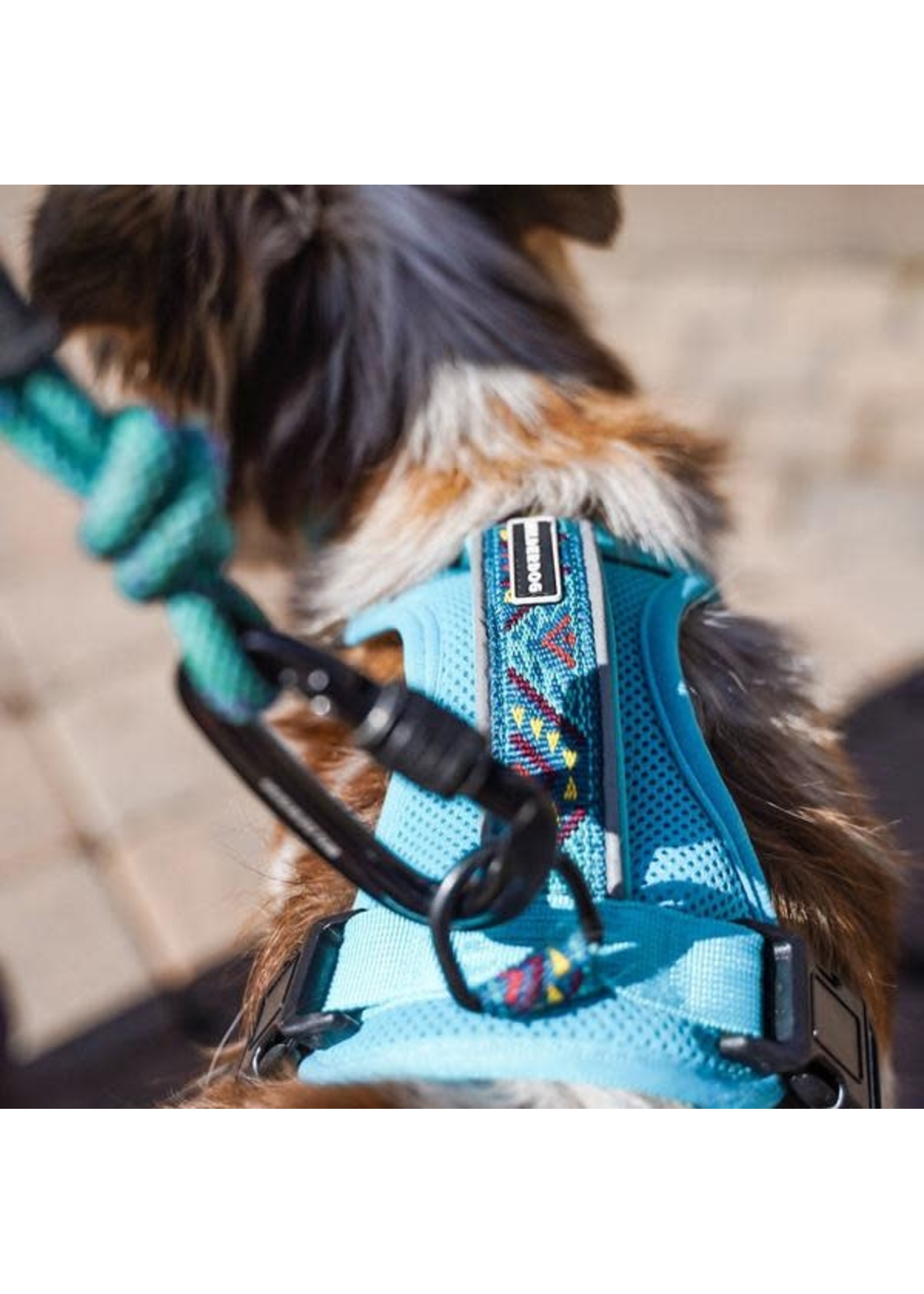 Wilderdog Harness