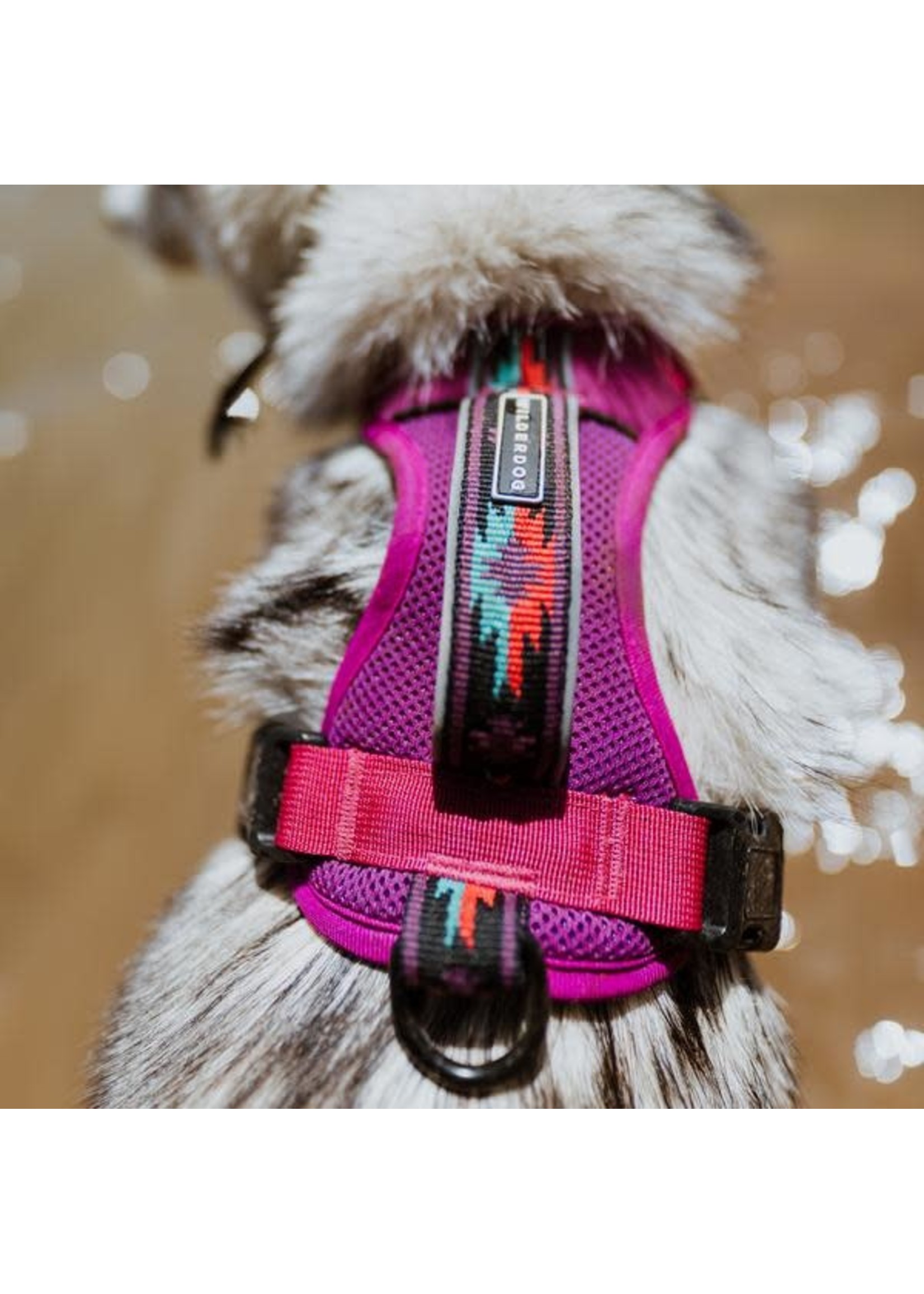 Wilderdog Harness