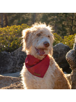 Wilderdog Bandana