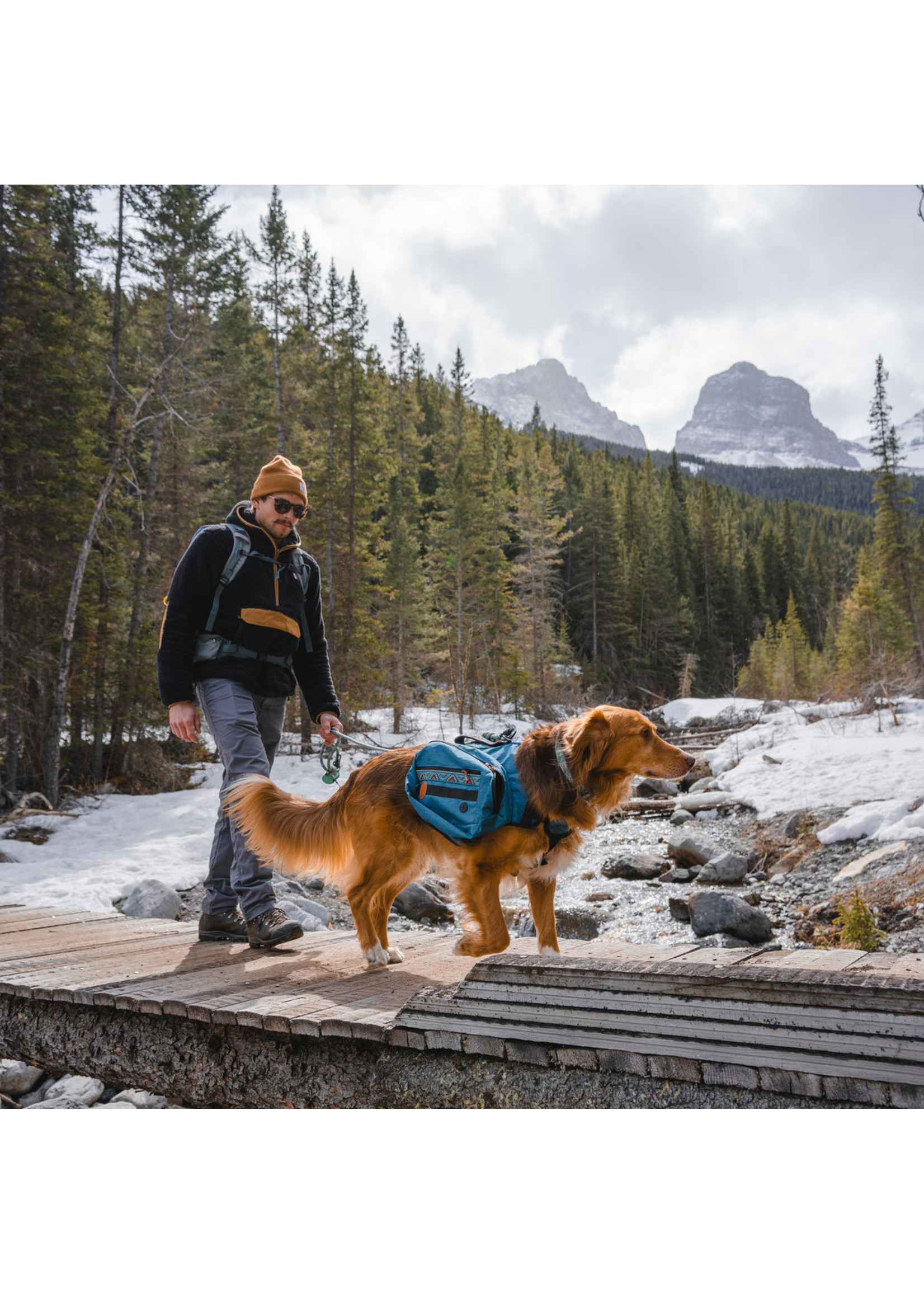 Wilderdog Dog Backpack