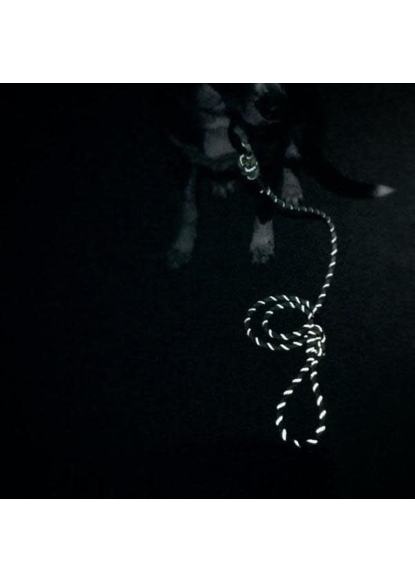 Wilderdog Reflective Dog Leash