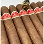 Curivari Gloria De Leon  Prominente 6 3/4 X 54