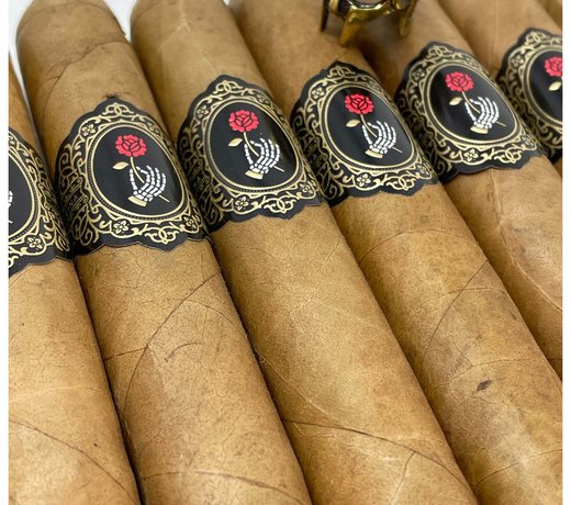 La Madrina Shade by Dapper