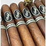 Davidoff Escurio Petit Robusto 50 X 3 1/4