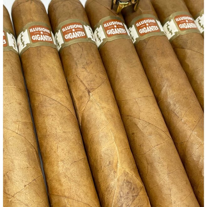 Illusione GIGANTES CT 56 x 6½