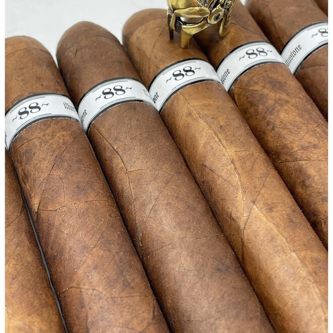 Illusione Original Documents Corojo Gordo 56 x 6