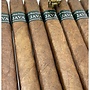 Java Mint Robusto 50 x 5½