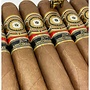 Perdomo 20th Anniversary Sun Grown Robusto (R556) 5 X 56