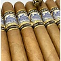 Perdomo Lot 23 Connecticut Gordito 60 x 4½