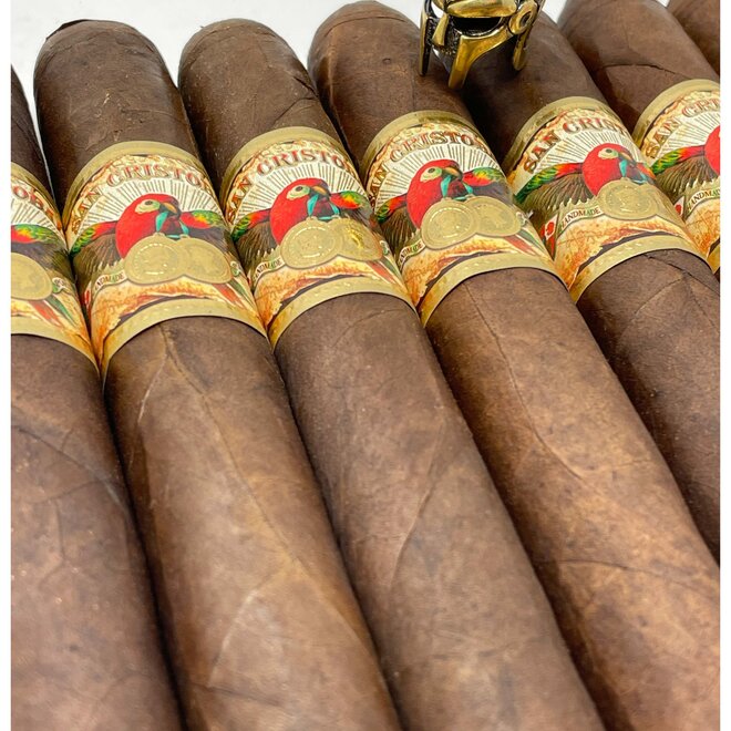 San Cristobal Papagayo XXL 6 x 60
