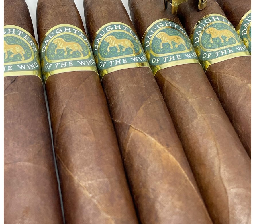 Casdagli Daughters of the Wind