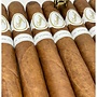 Davidoff Exclusive NYC 2021 50 x 6