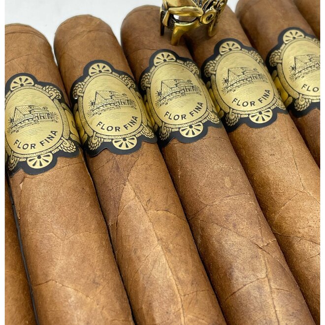 Warped Chinchalle Robusto 50 x 5