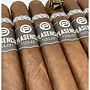 Plasencia Alma Del Campo Guajiro Robusto Gordo 54 x 5½