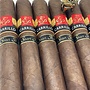 EPC Short Run 2023 Robusto 50 x 5