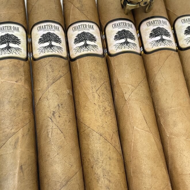 Foundation Charter Oak Connecticut Shade Torpedo 6 x 52