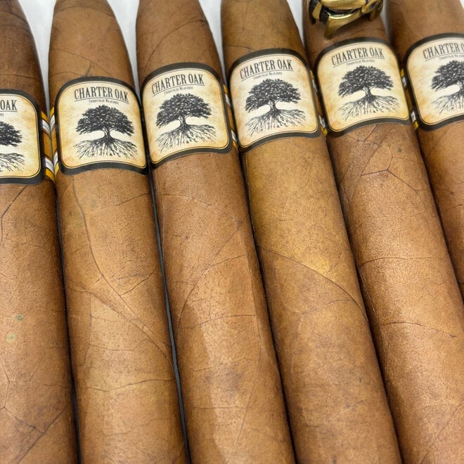 Foundation Charter Oak Habano Torpedo 6 x 52