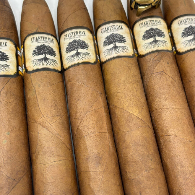 Foundation Charter Oak Habano Torpedo 52 x 6