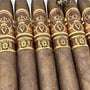Oliva Serie V TAA 2024 Torpedo 54 x 7