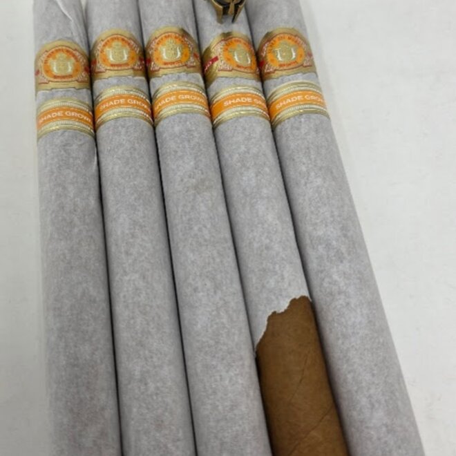 El Rey Del Mundo Shade Churchill 48 x 7