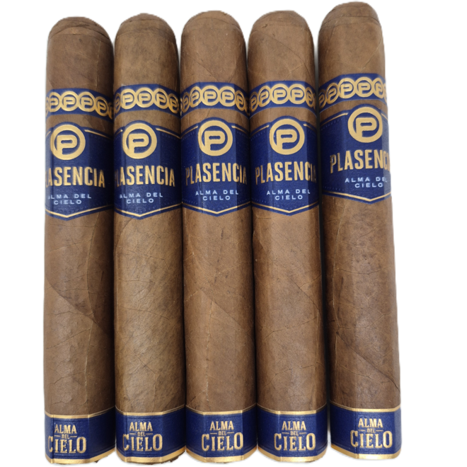 Plasencia Alma Del Cielo Amanecer Hexagon 60 x 6