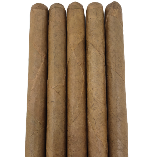 Spartan White - Churchill 7 x 50 - Bundle of 20