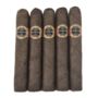 Warped Corto Maduro 46 x 4½