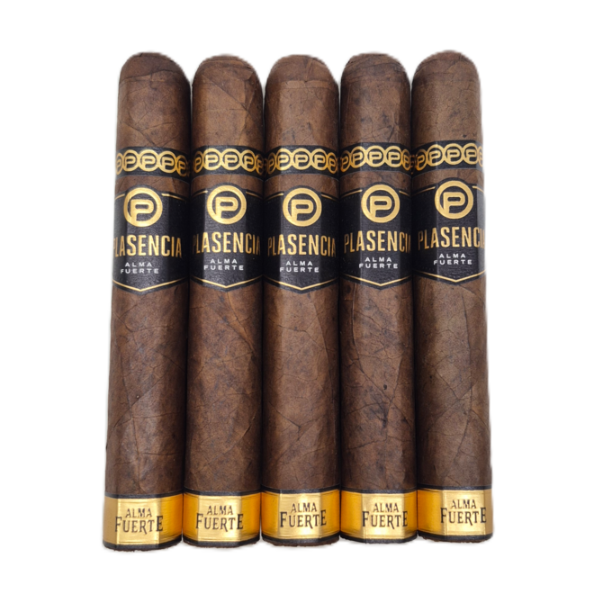 Plasencia Alma Fuerte Sixto II Hexagon 60 x 6