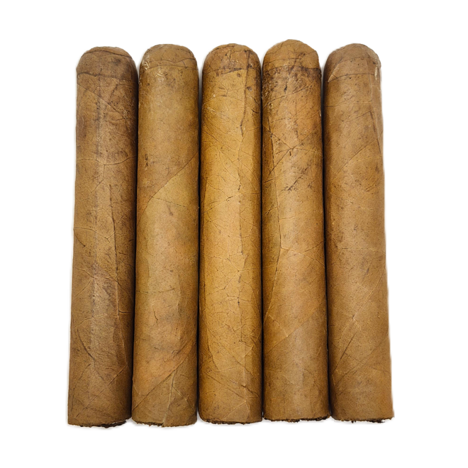 Spartan Gold Sweets - Gordo 60 x 6 - Bundle of 20