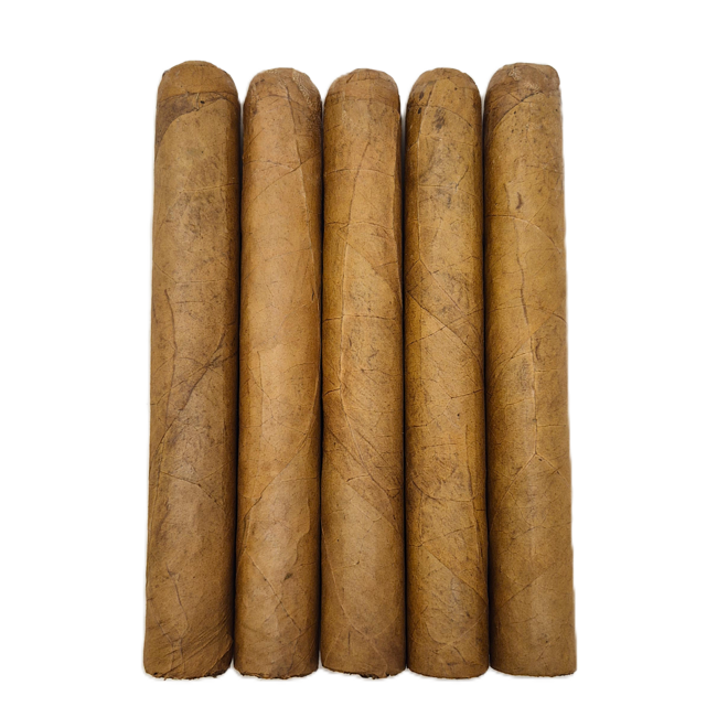 Spartan Gold Sweets - Toro Grande 54 x 6 - Bundle of 20