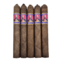 Foundation Aksum Maduro Toro 52 x 6