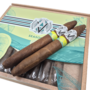 Spartan Vault -  AVO Seasons Spring LE23 Diadema 50 x 6⅝
