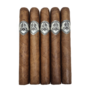 Adventura Chancellor Toro 52 x 6