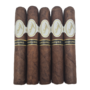 Davidoff Maduro Robusto 50 x 5