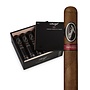 Davidoff Yamasa Robusto Tubos 50 x 5