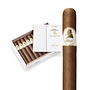 Davidoff Winston Churchill Petit Corona 41 x 4½