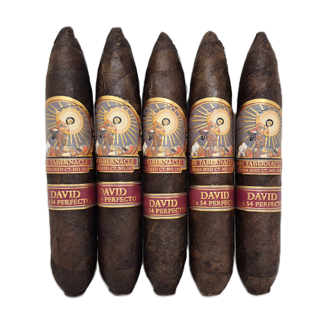 Foundation The Tabernacle Havana Seed CT-142 David Perfecto 54 x 5
