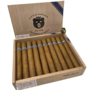 Spartan Vault - Warped El Oso Papa 48 x 6